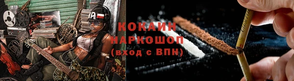 apvp Бородино