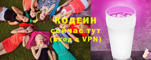 apvp Бородино