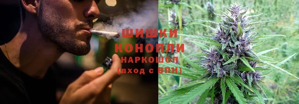 стаф Бугульма