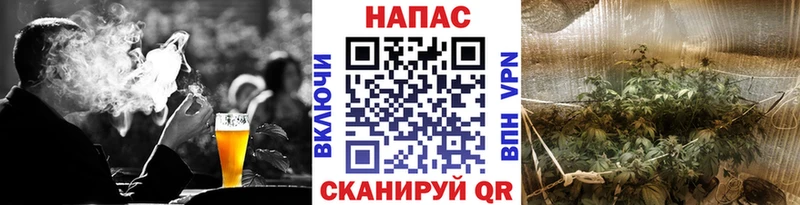 Марихуана семена наркота Кирсанов